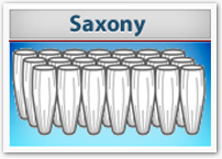 saxony